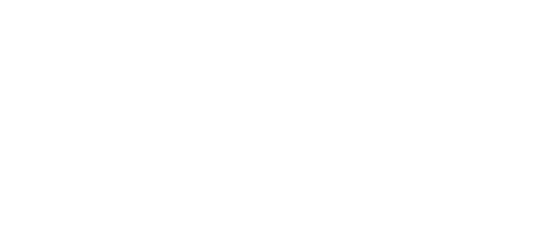 Blanes Nexe