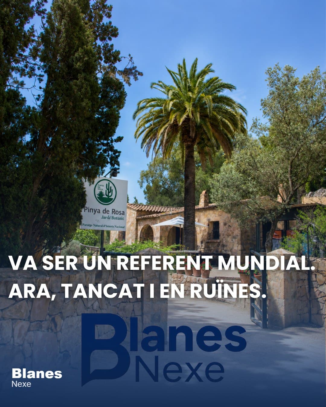 Pinya de Rosa: la història del jardí botànic de Blanes que va ser un referent a Europa