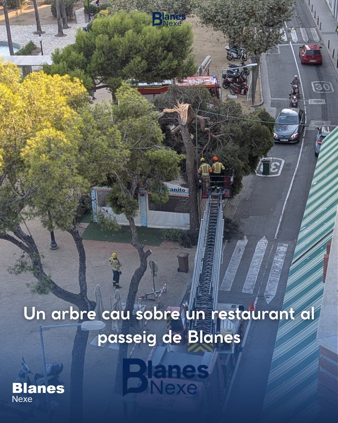 Un arbre es parteix i cau sobre la terrassa d'un restaurant del passeig marítim de Blanes, sense causar ferits